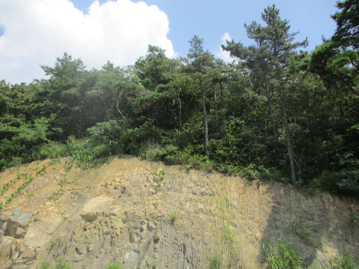 일련번호 10) 전경