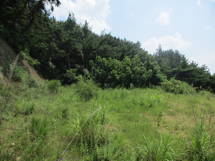 일련번호 19) 전경