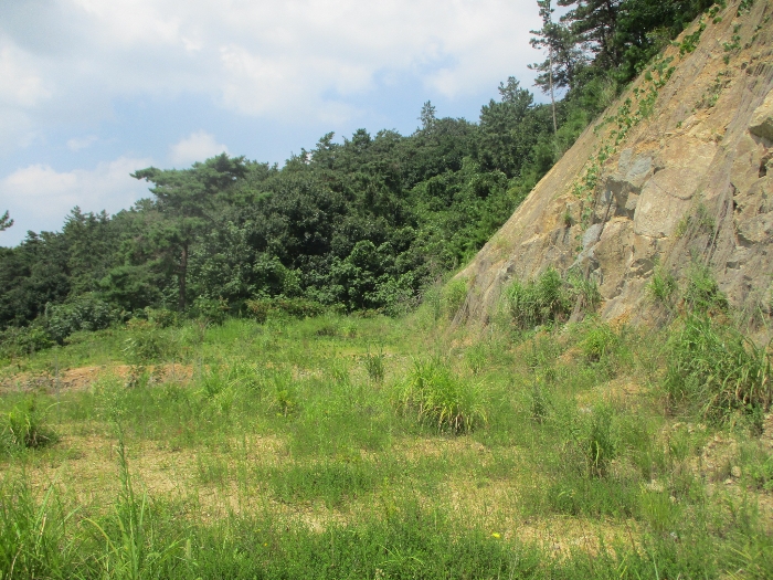 일련번호 10) 전경