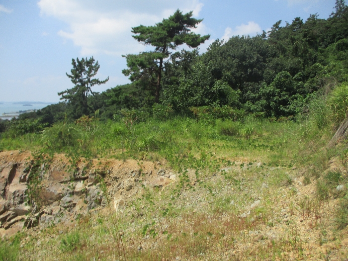 일련번호 6) 전경