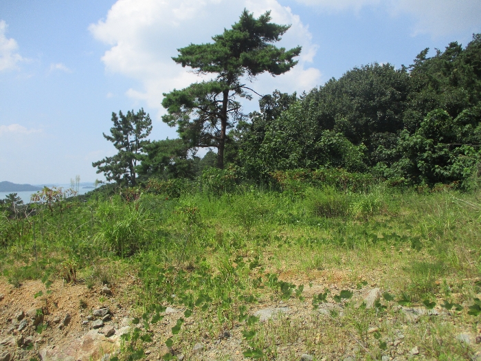 일련번호 6) 전경