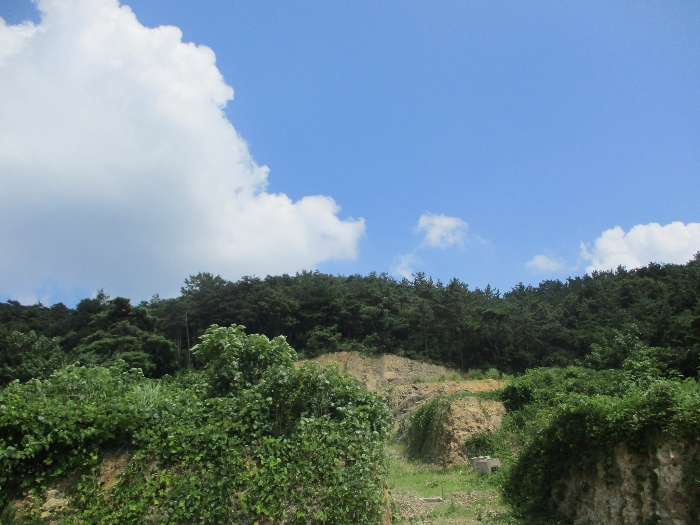 일련번호 7)-9),20),21) 전경