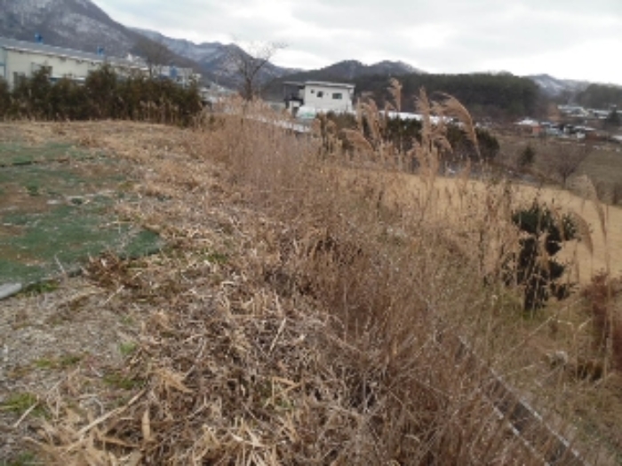 목록1. 대지 전경(8)