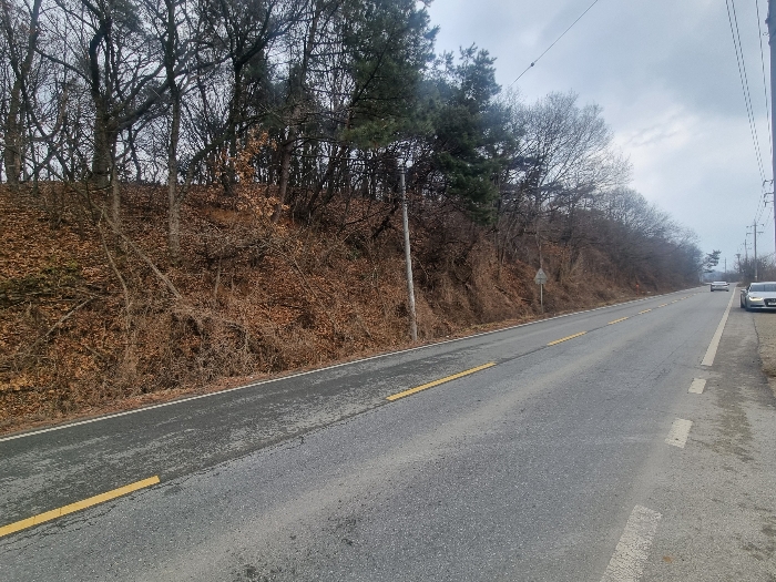 본건(지방도로변)