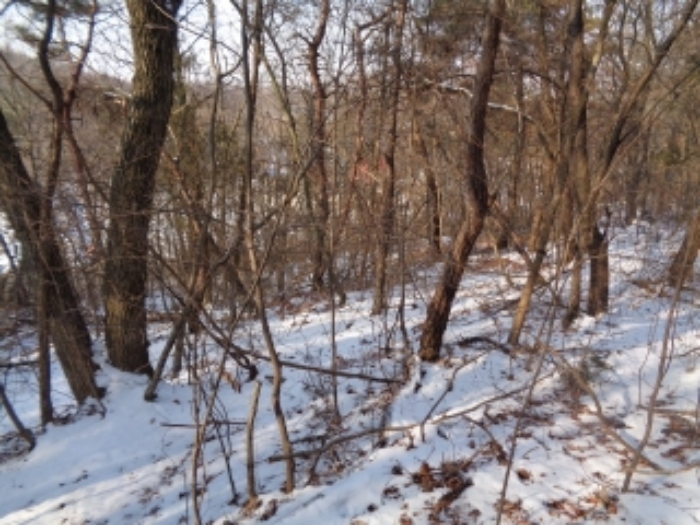 목록 부동산 전경