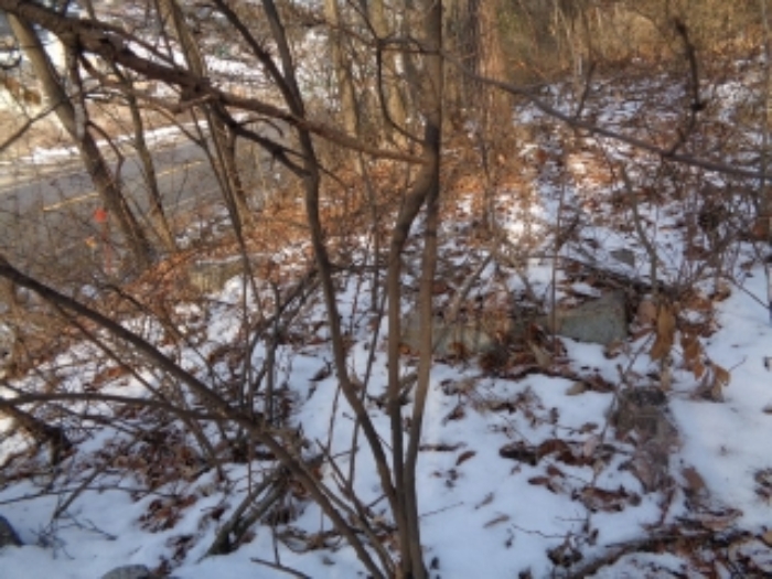 목록 부동산 지상에 있는 석물 전경