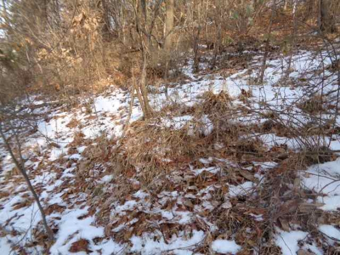 목록 부동산에 있는 묘로 추정되는 전경