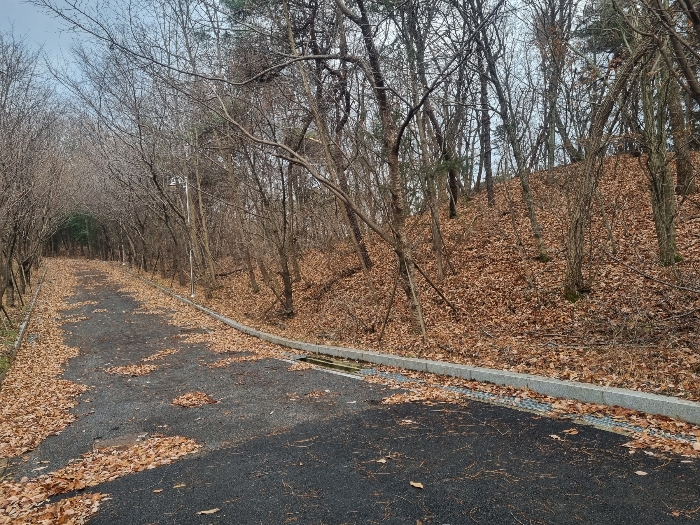 본건(배수지진입로변,후면)