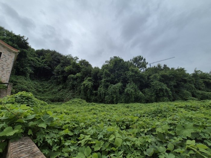 [ 기 호 (2) 전 경 ]