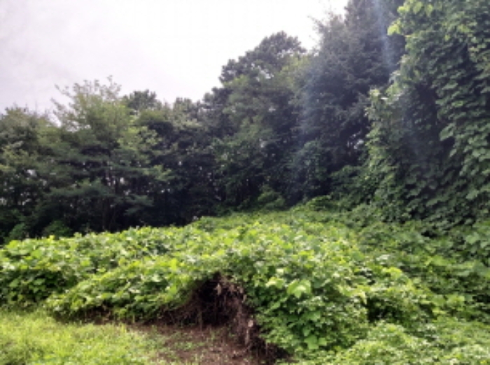 * 본건 목적물2. 전경