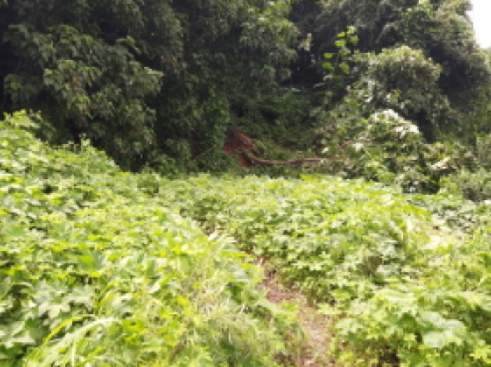 * 본건 목적물2. 전경