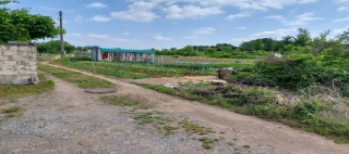 목록2 토지 일부 전경