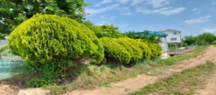 목록1 토지 일부 전경