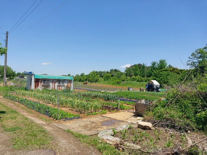 기호1,2 전경(근경)