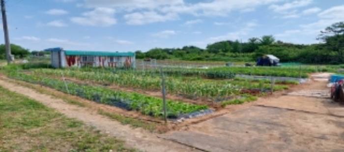 목록2 토지 일부 전경