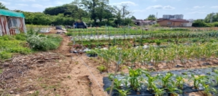 목록2 토지 일부 전경