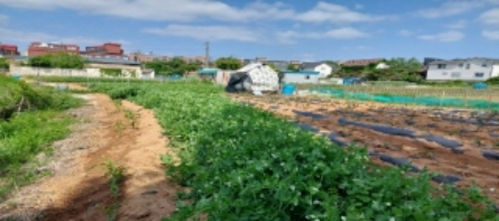 목록2 토지 일부(제시외 움막) 전경