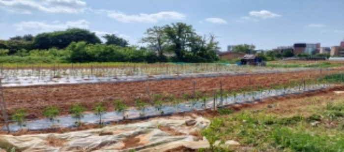 목록1 토지 일부 전경