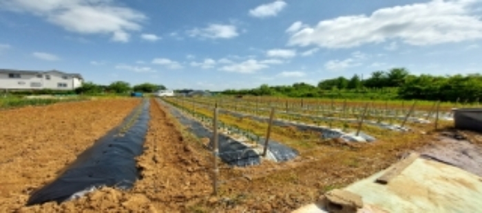 목록1 토지 일부 전경