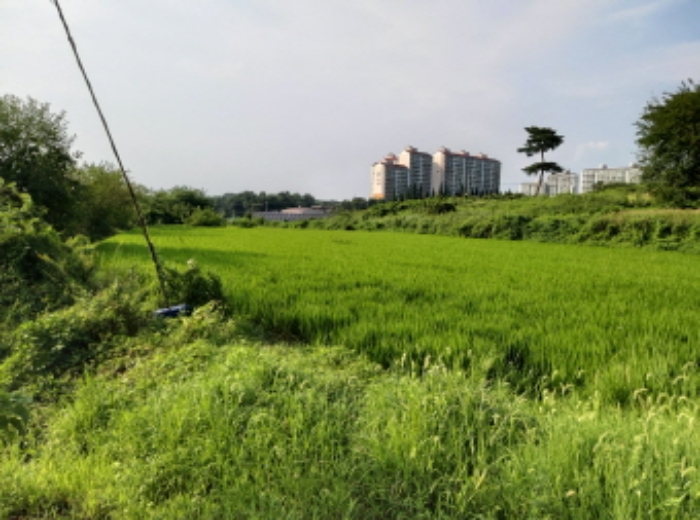 * 본건 목적물 전경