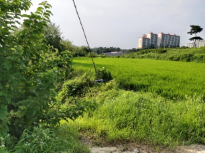 * 본건 목적물 전경