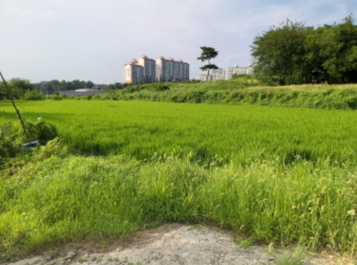 * 본건 목적물 전경