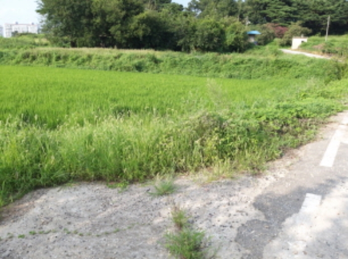 * 본건 목적물 전경