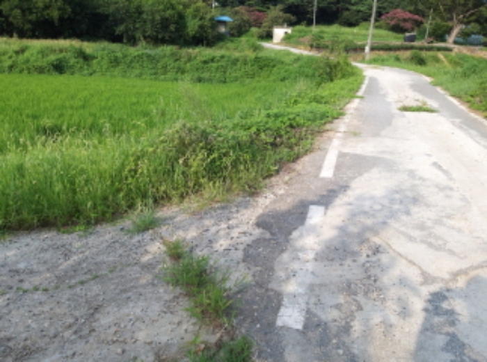 * 본건 목적물 인접도로 전경