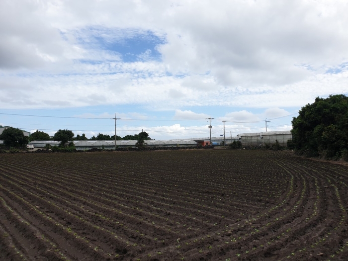 본건전경 북서측에서 촬영 