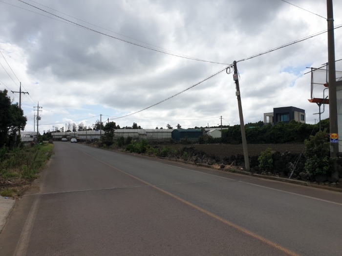 본건 동측에 접한도로 