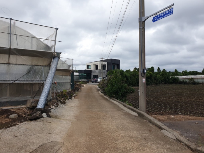 본건 남측에 접한도로 