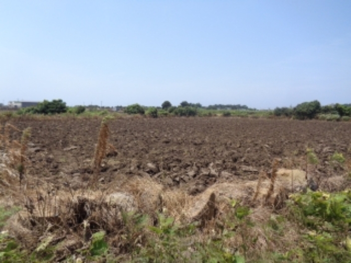 본건(상모리 2430-1) 소재지 전경 사진