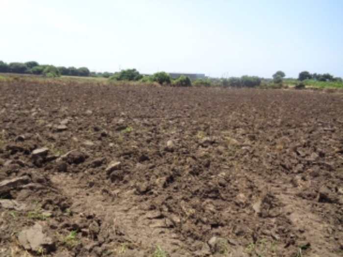 본건(상모리 2430-1) 소재지 전경 사진