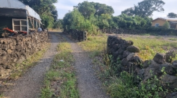 소재지2(성읍리 682-1) 전경1