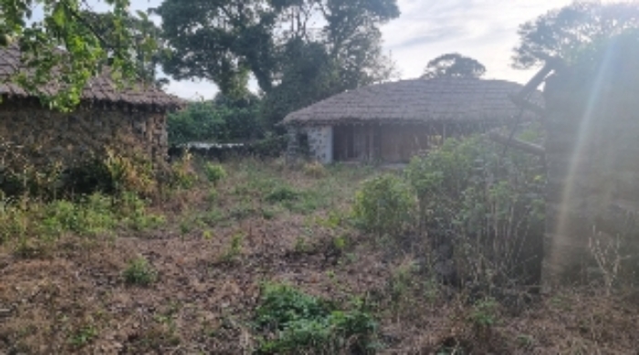 소재지2(성읍리 682-1) 전경2