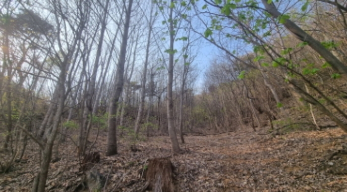 목록 3. 토지(산 아래쪽)