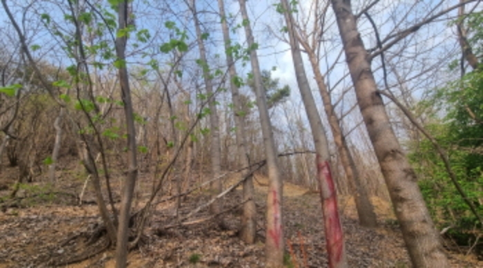 목록 3. 토지(산 아래쪽)