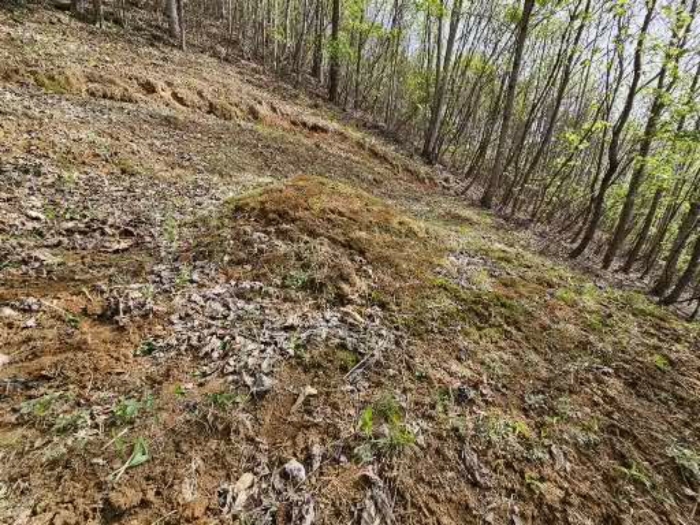 기호 3 토지 내 제시외 분묘(무연고 묘(묵묘))