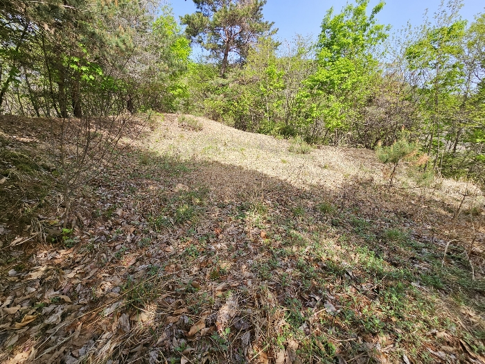 기호 3 지상 분묘 이장 부분