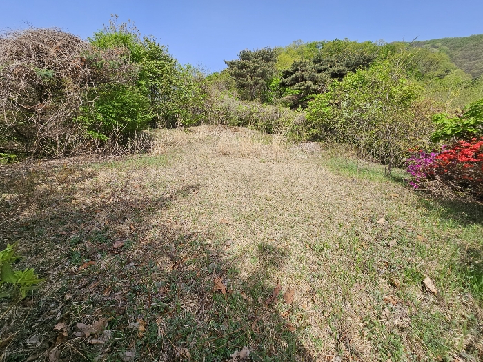 기호 3 지상 분묘 이장 부분