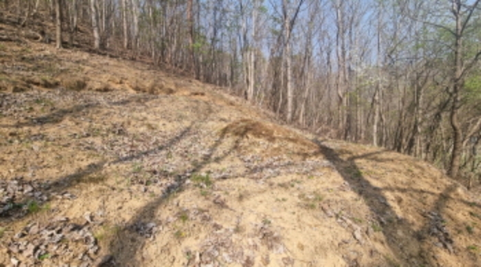 목록 3. 토지(산 아래쪽에 소재한 분묘 1기)