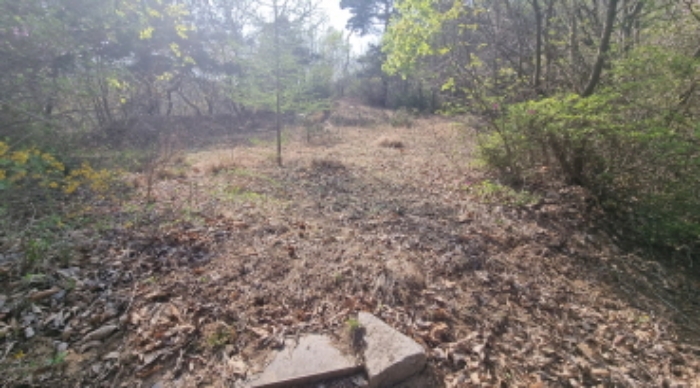 목록 3. 토지(산 중턱에 소재한 이장한 분묘터 1.)