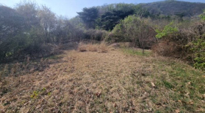 목록 3. 토지(산 중턱에 소재한 이장한 분묘터 2.)