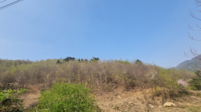 목록 3. 토지 원경