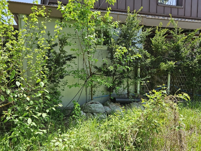 제시외건물 기호 ㉡