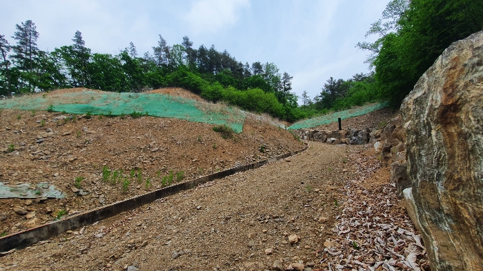 본 건  북 동 측  현 황