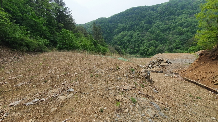 본 건  북 동 측  현 황