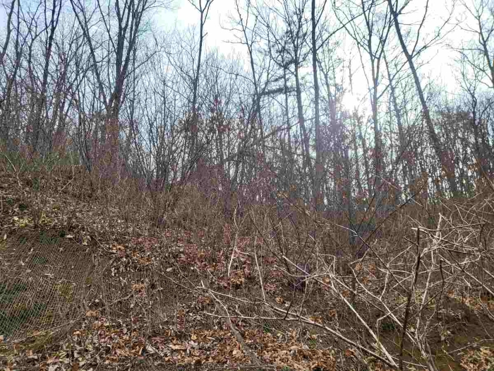 제시 목록 1 부동산