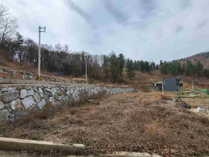 제시 목록 4 부동산