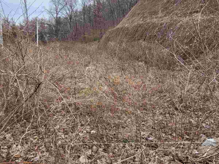 제시 목록 5 부동산